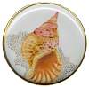 SeaShell02.jpg