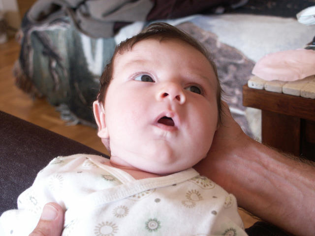 S2 142 - June 2006.jpg