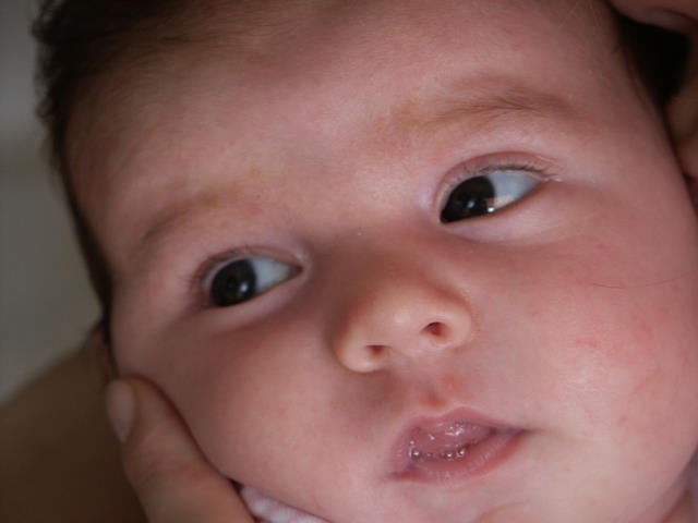 S2 224 - June 2006.jpg