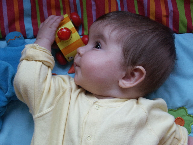 S8 003.jpg