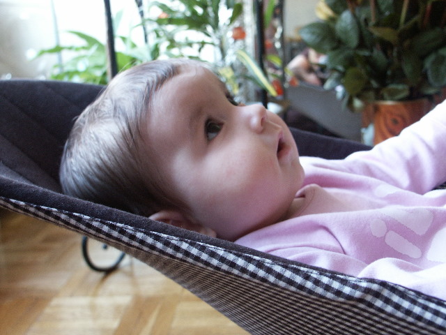S8 082.jpg