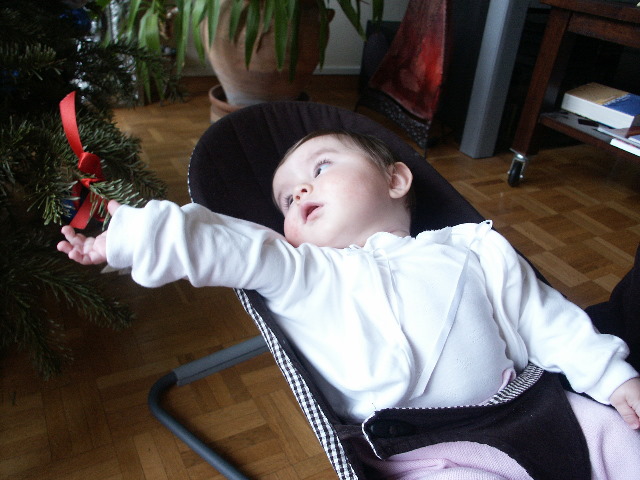 S8 190.jpg