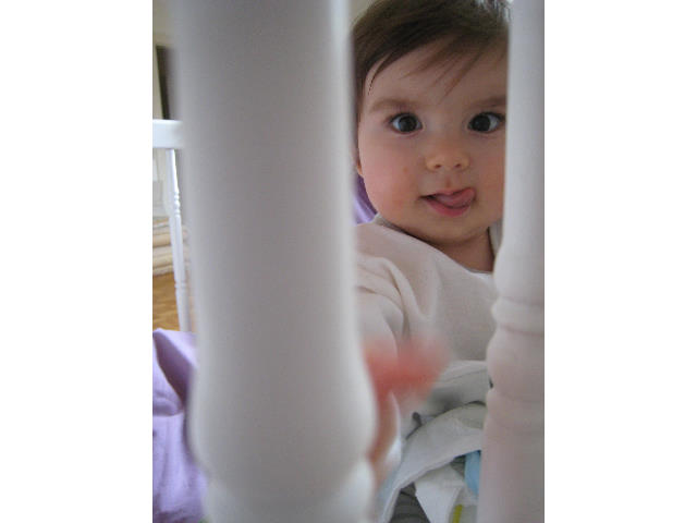 S12 010.jpg