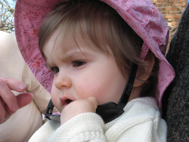 S12 057.jpg