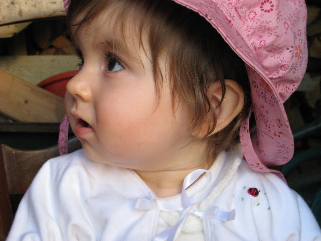 S12 195.jpg