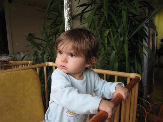 S13 029.jpg