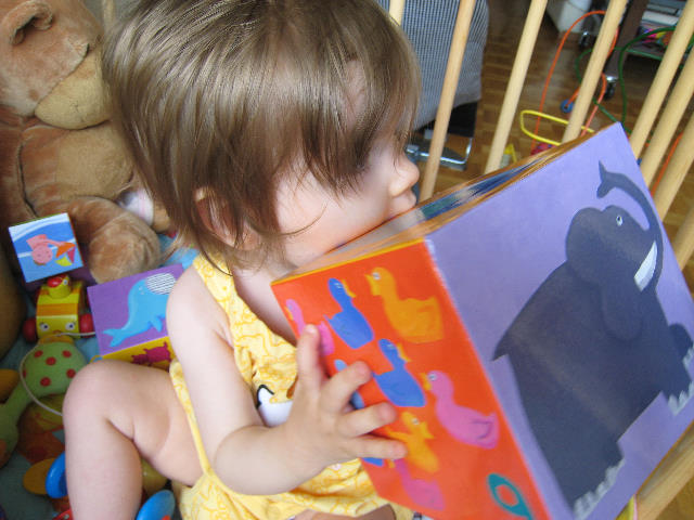 S13 227.jpg